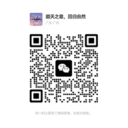 二维码